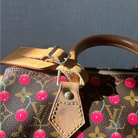 Louis Vuitton Cherry Speedy - Picture 4 of 12